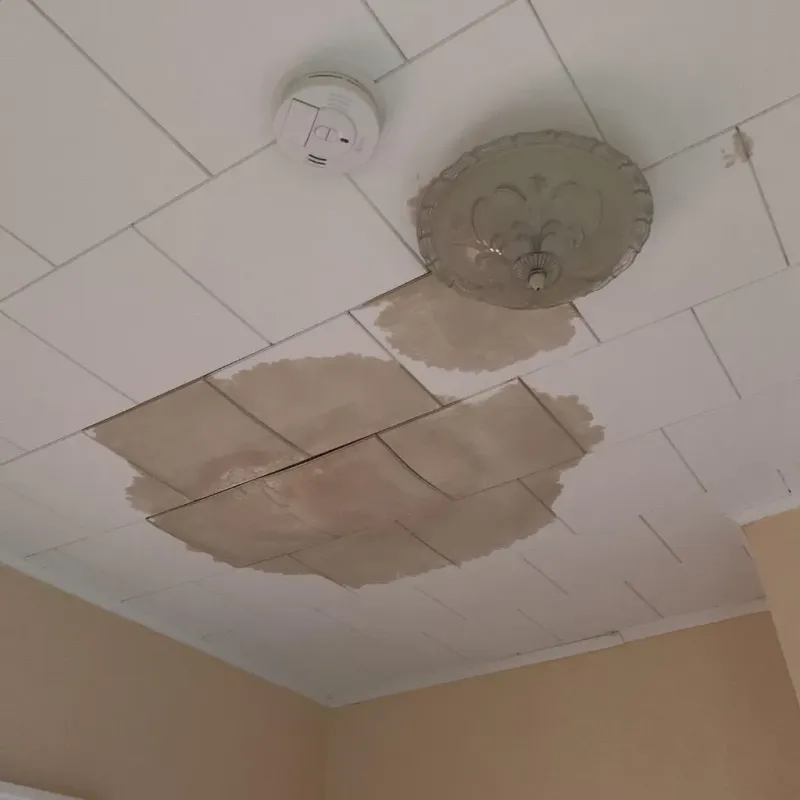 Ceiling Water Damage Repair in Old River-Winfree, TX