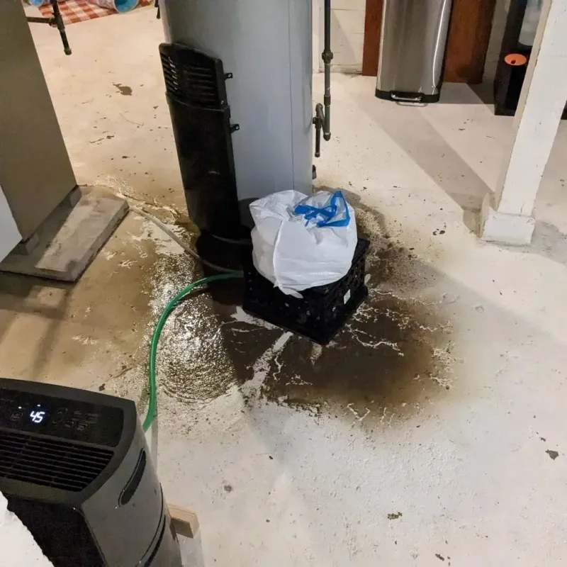 Sewage Backup Cleanup Service in Old River-Winfree, TX